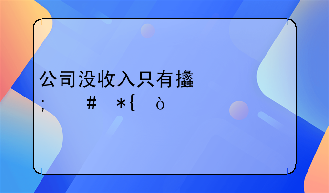 公司沒收入只有支出怎么辦？