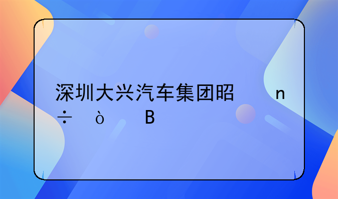 深圳大興汽車集團(tuán)是國企嗎