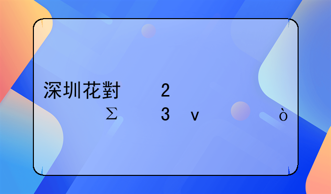 深圳花小豬車主注冊條件？