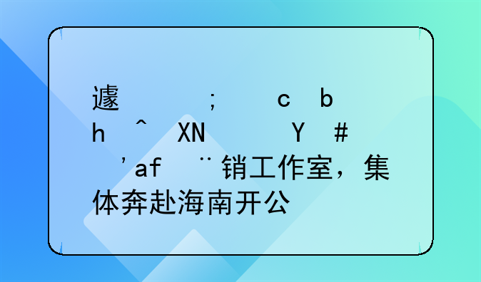 避稅還是投資？明星注銷工作室，集體奔赴海南開(kāi)公司